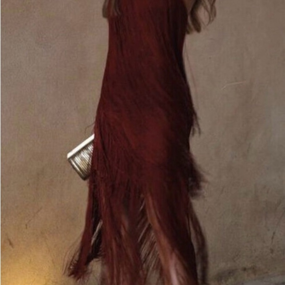 Elegant Fringe Dress in Brown ZARA